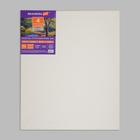 Набор холстов на подрамнике, хлопок 100%, 4 штуки (25 × 35, 30 × 40, 40 × 50, 50 × 60 см), мелкозернистый, 280 г/м2, акриловый грунт - Фото 12