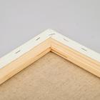 Набор холстов на подрамнике, хлопок 100%, 4 штуки (25 × 35, 30 × 40, 40 × 50, 50 × 60 см), мелкозернистый, 280 г/м2, акриловый грунт - Фото 18