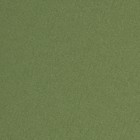 Штора портьерная "Этель" ширина 200 см, высота 250 см, цвет фисташковый, матовая - Фото 2