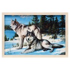 Гобеленовая картина "Волки перед охотой" 44*64 см рамка МИКС - Фото 5