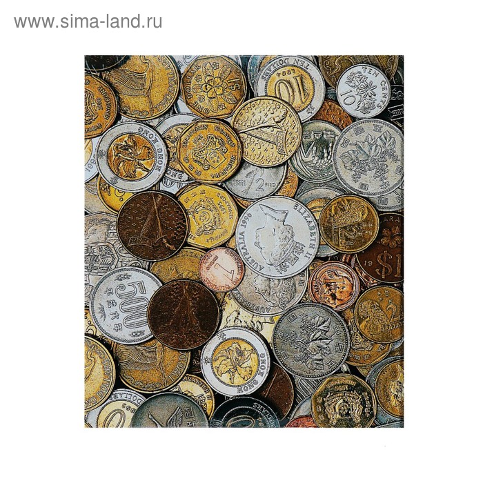 Альбом для монет на кольцах, формат Оптима 225 х 265 мм Calligrata, входит до 20 листов, обложка ламинированный картон - Фото 1