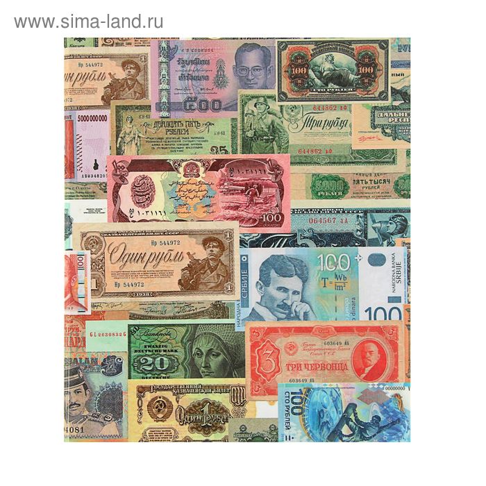 Альбом для бон на кольцах, формат Оптима 225 х 265 мм Calligrata, входит до 20 листов, обложка ламинированный картон - Фото 1