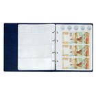 Альбом для монет на кольцах 225×265 мм, «Памятные монеты РФ», обложка искусственная кожа, 13 листов, синий - Фото 11