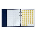 Альбом для монет на кольцах 225×265 мм, «Памятные монеты РФ», обложка искусственная кожа, 13 листов, синий - Фото 8