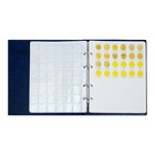 Альбом для монет на кольцах 225×265 мм, «Памятные монеты РФ», обложка искусственная кожа, 13 листов, синий - Фото 9