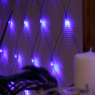 Гирлянда «Сеть» 1.6×1.6 м, IP20, прозрачная нить, 144 LED, свечение «Флаг России», 220 В