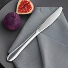 Нож столовый из нержавеющей стали, длина 23 см, цвет серебряный - фото 317952181