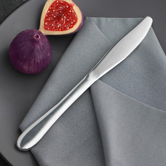 Нож столовый из нержавеющей стали, длина 23 см, цвет серебряный - фото 1908296010