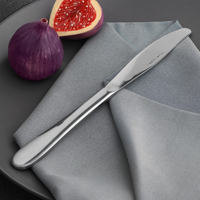 Нож столовый из нержавеющей стали, длина 23 см, цвет серебряный - фото 1908296011
