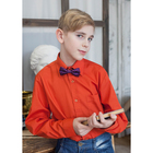 Сорочка для мальчика, рост 98-104 см (26), цвет кирпич 181 - Фото 5