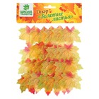 Декор «Кленовый лист», набор 50 шт., жёлто-красный - Фото 2