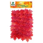 Декор «Кленовый лист», набор 50 шт, красный цвет - фото 320134770