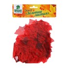 Декор «Кленовый лист», набор 50 шт., красный цвет - Фото 4