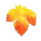 Декор «Смородиновый лист», набор 50 шт, жёлто-оранжевый цвет - Фото 2