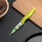 Нож кухонный с антиналипающим покрытием «Норберт», лезвие 8,5 см, цвет МИКС - Фото 1