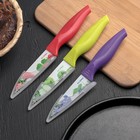Нож кухонный с антиналипающим покрытием «Норберт», лезвие 8,5 см, цвет МИКС - Фото 2