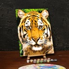 Роспись по номерам без подрамника «Тигр», 30х40 см - Фото 2