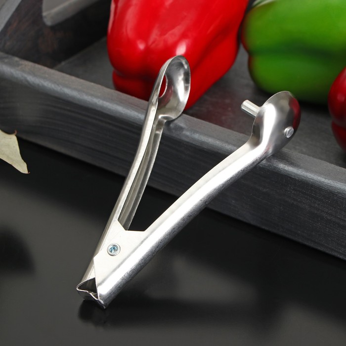 Удалитель косточек Доляна «Классик», h=13 см - Фото 1