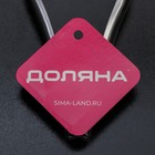 Удалитель косточек Доляна «Классик», h=13 см - Фото 4