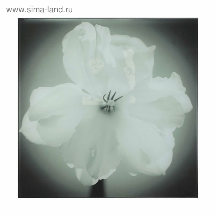 Картина на стекле Декоретто Art "Чёрно-белые цветы" 30*30 см - Фото 1