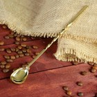 Ложка латунная, d=21.5, золотистая - Фото 1