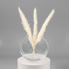 Ваза «Кюгель-4», шаровая, 2.4 л, d=8.5 см, 14.9×17.2 см, стекло, прозрачная - Фото 2