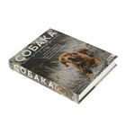 Собака. Полное руководство по дрессировке и уходу. Целлариус А. Ю. - Фото 2