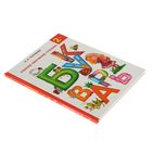 Букварь. Раннее обучение чтению. Букварь. Ткаченко Н.А. - Фото 2