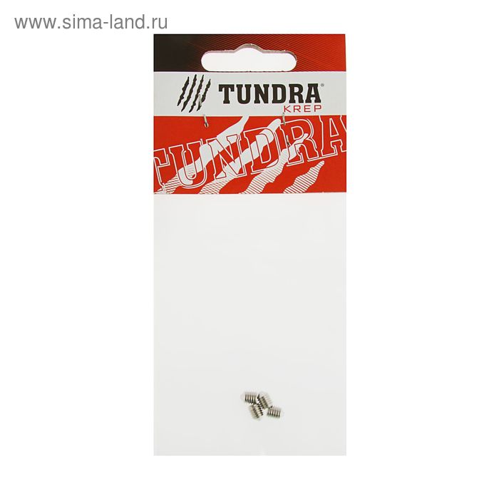 Винт установочный ТУНДРА krep, 5х6 мм, в пакете 4 шт. - Фото 1