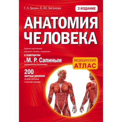 Анатомия человека. 2 издание. Билич Г.Л., Зигалова Е.Ю.