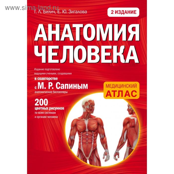 Анатомия человека. 2 издание. Билич Г.Л., Зигалова Е.Ю.