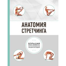 Анатомия стретчинга. Большая иллюстрированная энциклопедия