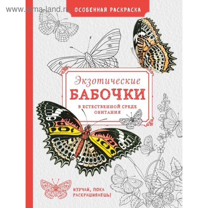 Экзотические бабочки в ествественной среде обитания. Особенная раскраска - Фото 1