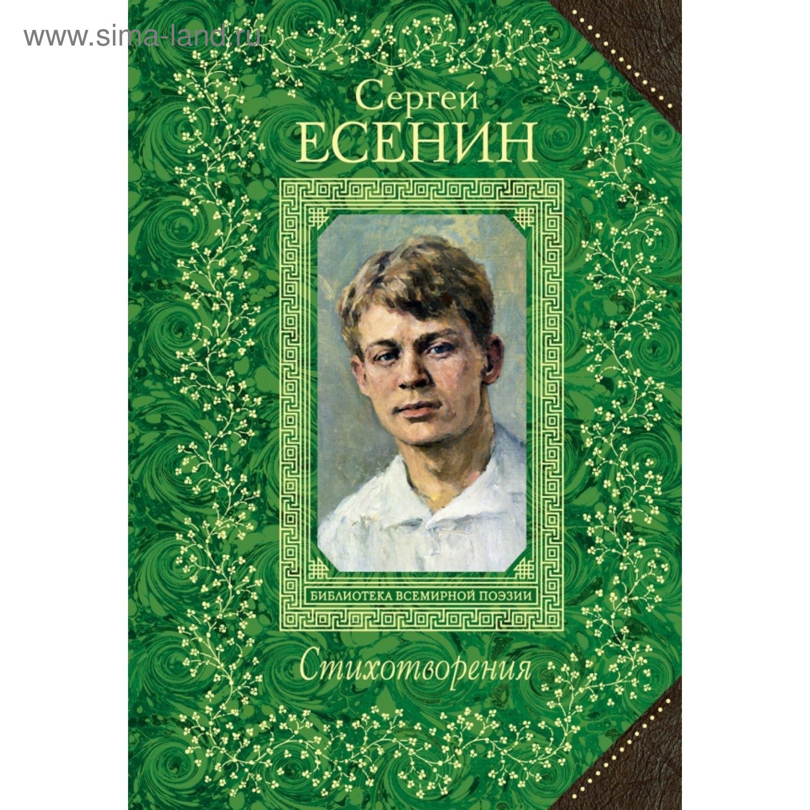 Стихи и биографии поэтов. Произведения в. Дружинского. Книга Дружинского.