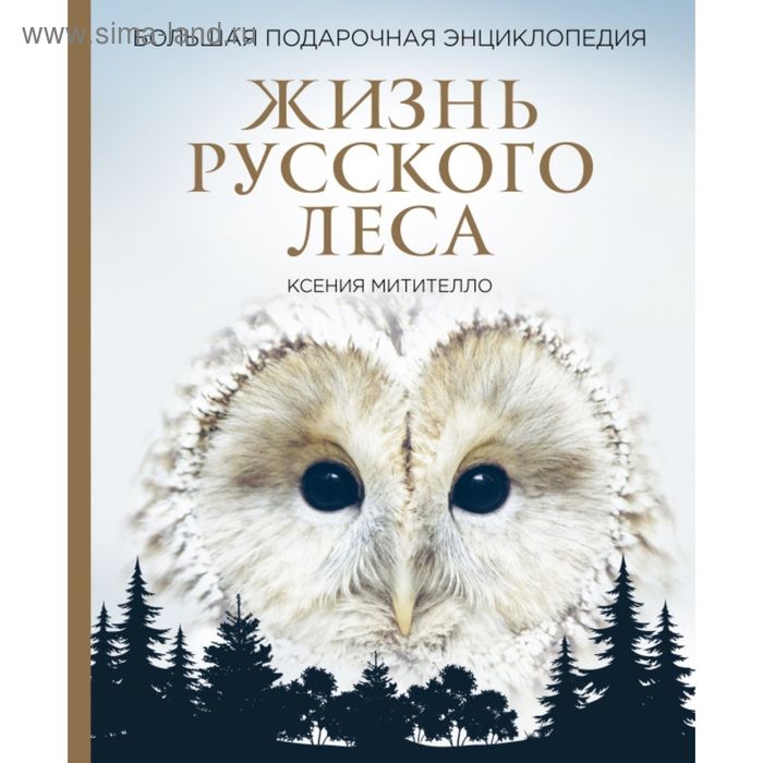 Большая подарочная энциклопедия «Жизнь русского леса». Митителло К. - Фото 1