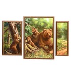 Картина модульная в раме "Медвежья семья" 2-20*40, 1-30*50, 50х70 см - Фото 1