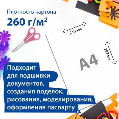 Картон для подшивки документов А4, 100 листов, немелованный, односторонний, блок 260 г/м², бело-серый
