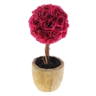 бонсай лист розы 25*12 см шар - Фото 1