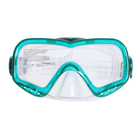 Маска для плавания Seavision, от 14 лет, цвет МИКС Bestway - Фото 1