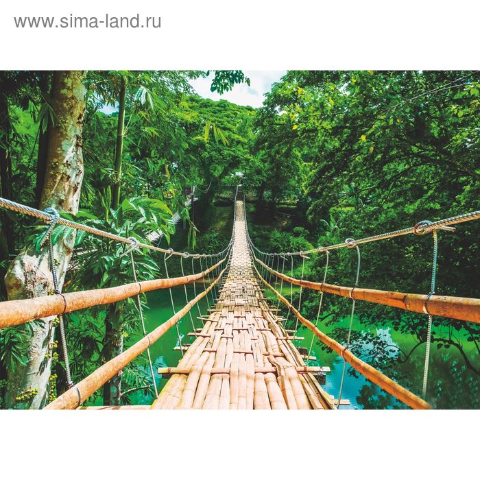 Фотообои К-128 «Бамбуковый мост» (8 листов), 280 × 200 см - Фото 1