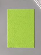 Фетр мягкий «Лайм», 1 мм, (набор 10 листов), формат А4 - Фото 4