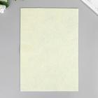 Фетр жёсткий «Топленое молоко» 1 мм (набор 10 листов) формат А4 - Фото 2