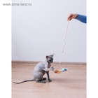 Дразнилка, 40 см, с махровой мышкой 7 см, на деревянной палочке, МИКС - Фото 6