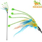 Дразнилка с перьями и усиками, 50 см, микс цветов - фото 8522160