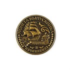 Монета сувенирная на Выпускной «На счастье», металл, d = 2,5 см - Фото 5