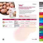 Протравитель картофеля от колорадского жука «Табу», 50 мл - Фото 3