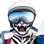 Балаклава взрослая "Тигр", универсальный размер - Фото 1