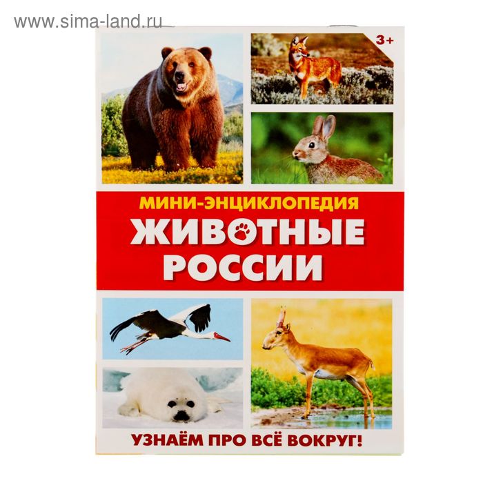 Мини-энциклопедия «Животные России», 20 стр. - Фото 1