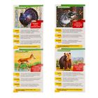 Мини-энциклопедия «Животные России», 20 стр. - Фото 2