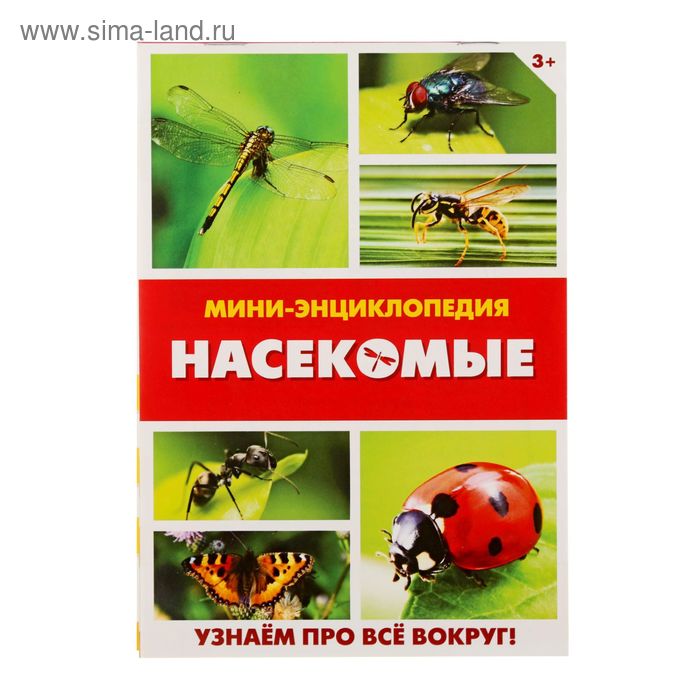 Мини-энциклопедия «Насекомые», 20 стр. - Фото 1